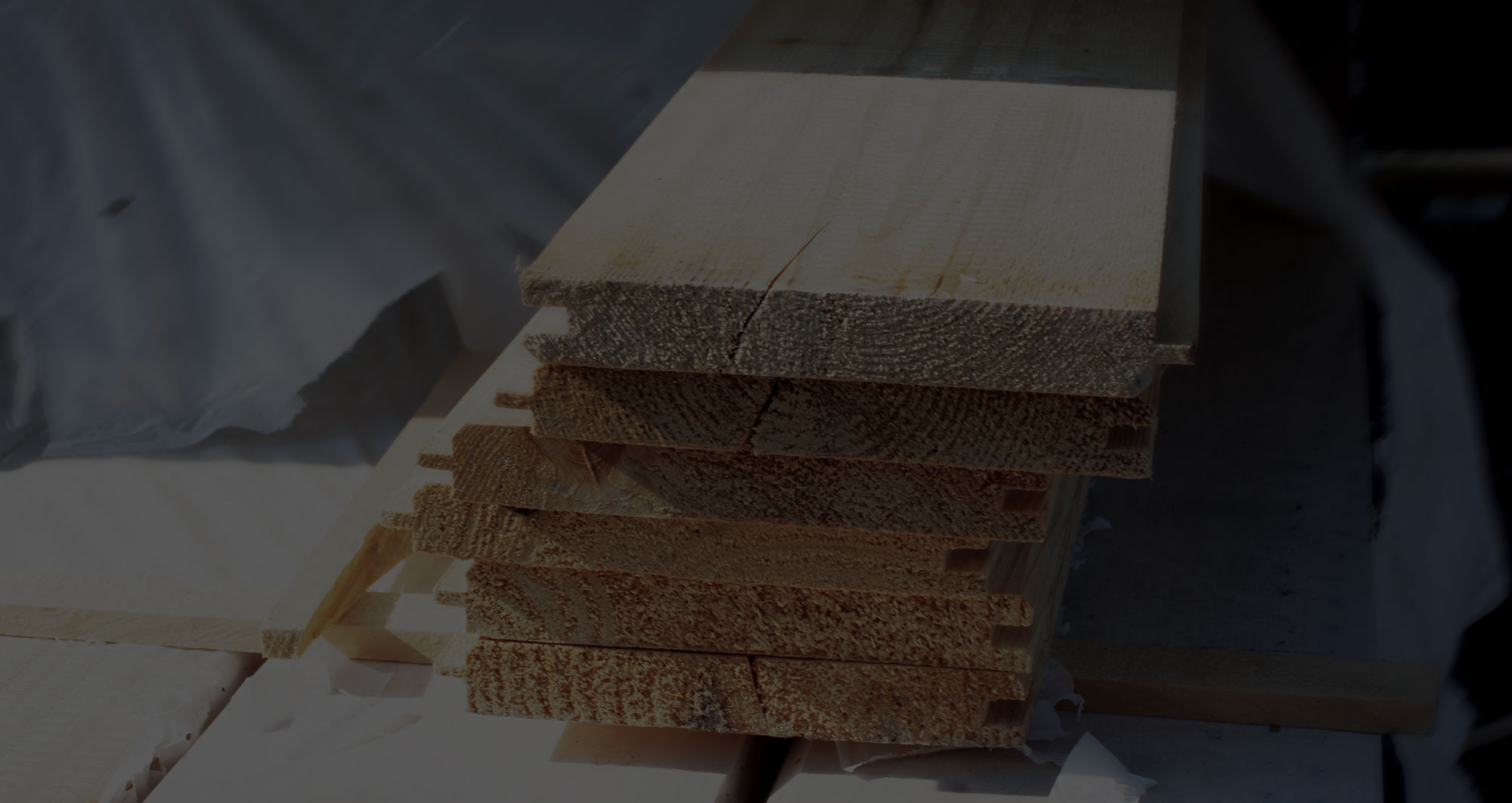 carpenteria_01